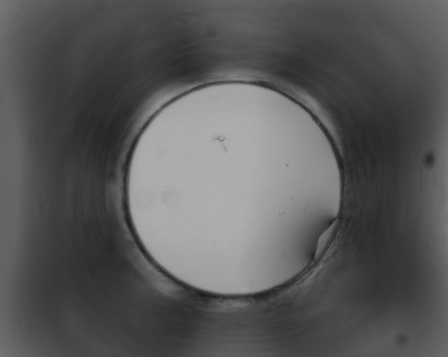 X0000101971187200807180719