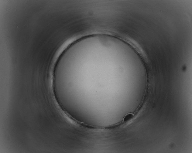 X0000101971188200807180719
