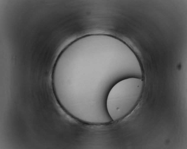 X0000101971189200807180719