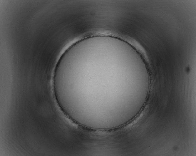 X0000101971190200807180719