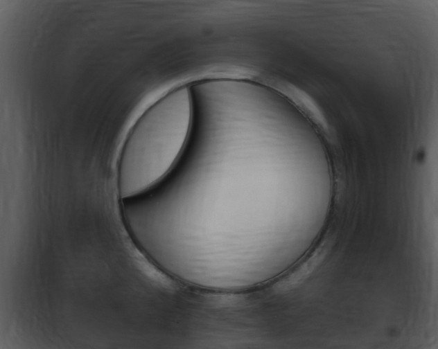X0000101971192200807180719