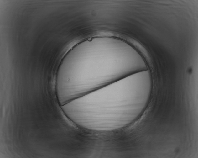 X0000101971193200807180719