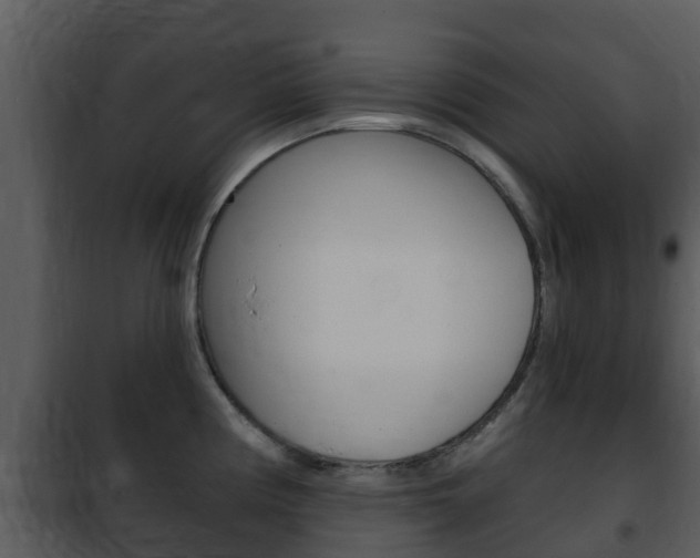 X0000101971194200807180719