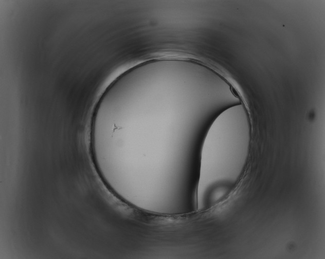 X0000101971195200807180719