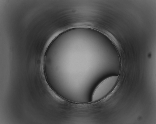 X0000101971196200807180719
