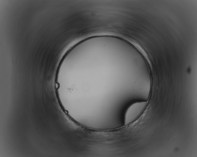 X0000101971197200807180719