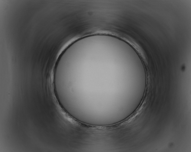 X0000101971198200807180719