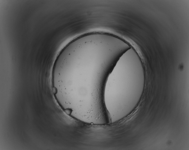 X0000101971199200807180719