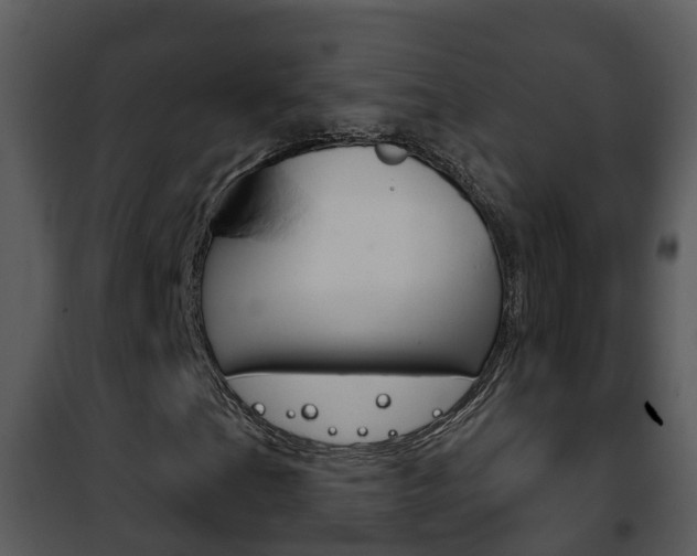 X0000101971201200807180718