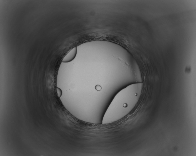 X0000101971203200807180718
