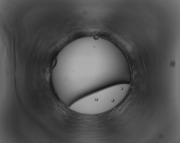 X0000101971204200807180718