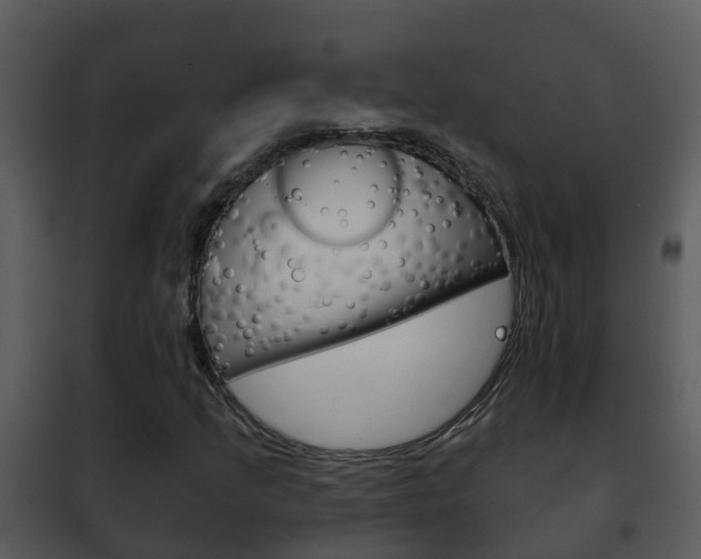 X0000101971205200807180718