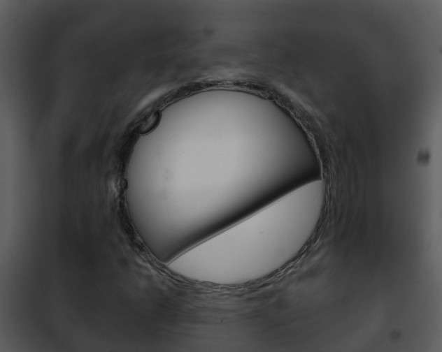 X0000101971206200807180718