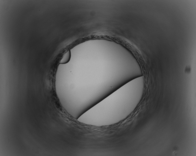 X0000101971207200807180718