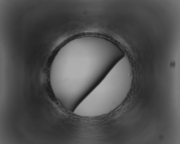 X0000101971208200807180718