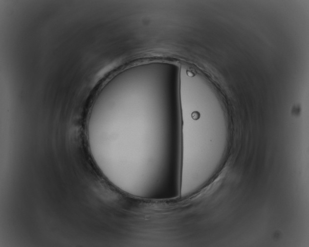 X0000101971210200807180718