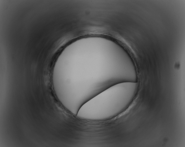 X0000101971211200807180718