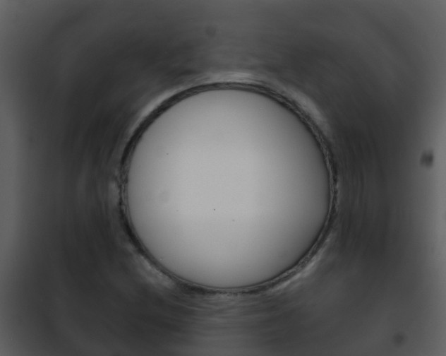 X0000101971212200807180718