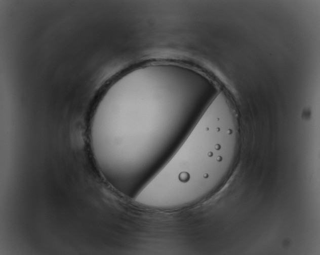 X0000101971213200807180718