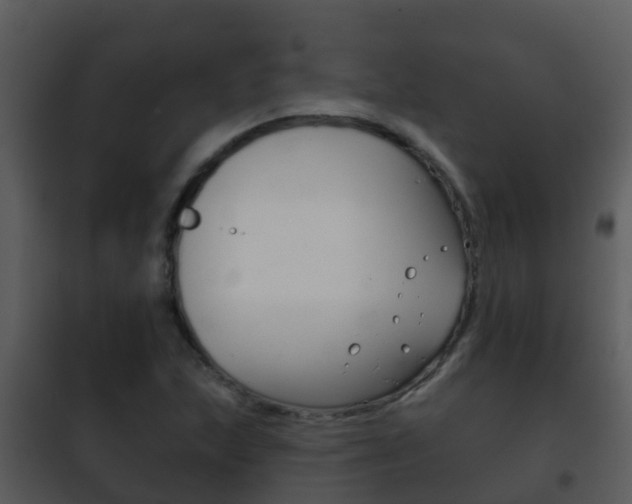 X0000101971215200807180718