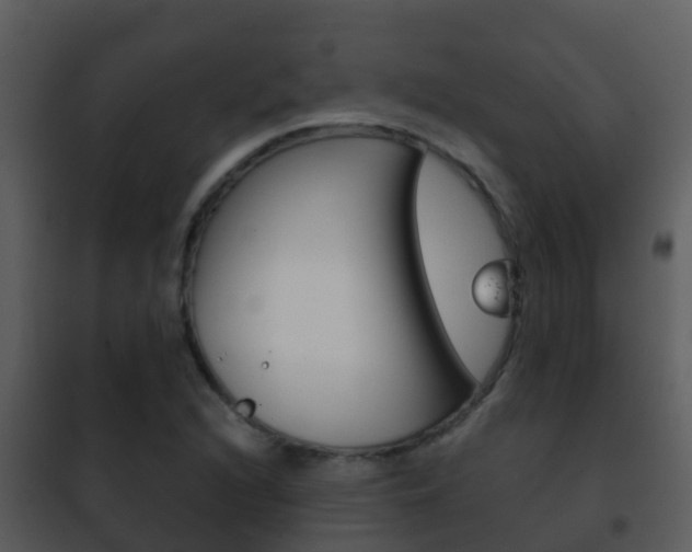 X0000101971216200807180718
