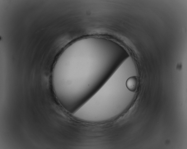 X0000101971217200807180718