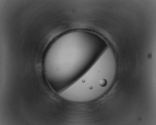 X0000101971218200807180718
