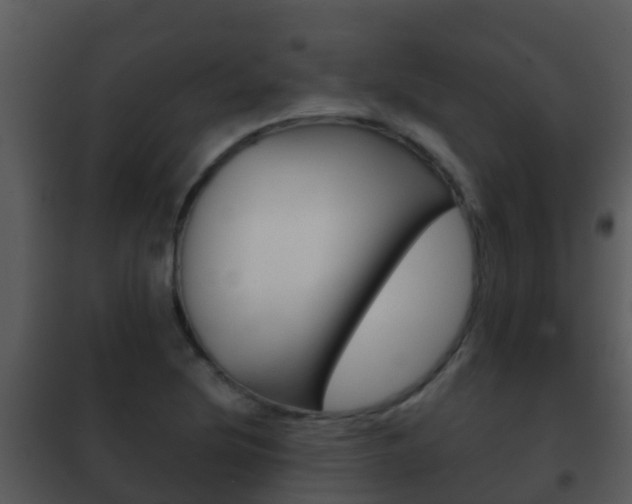 X0000101971220200807180718