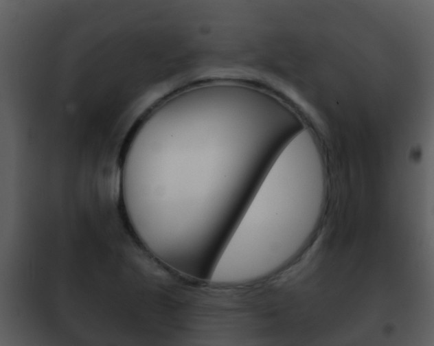 X0000101971221200807180718
