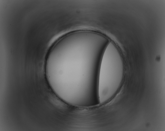 X0000101971222200807180718