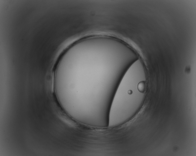 X0000101971223200807180718