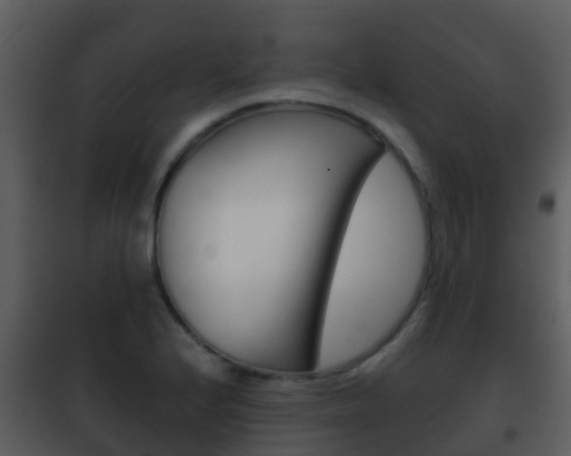 X0000101971224200807180718