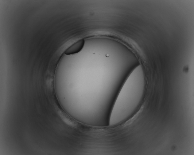 X0000101971225200807180718