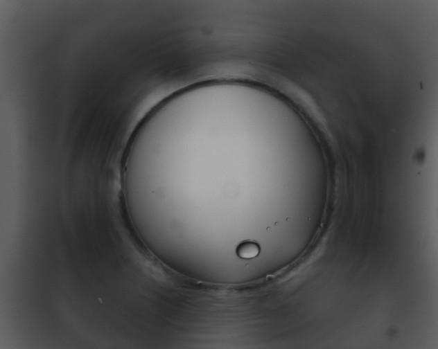 X0000101971226200807180718