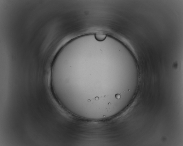 X0000101971227200807180718