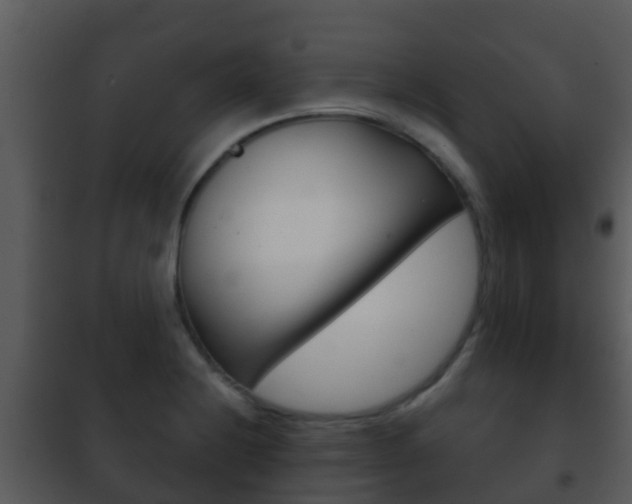 X0000101971228200807180718