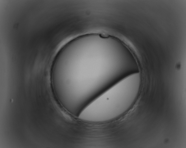 X0000101971230200807180718