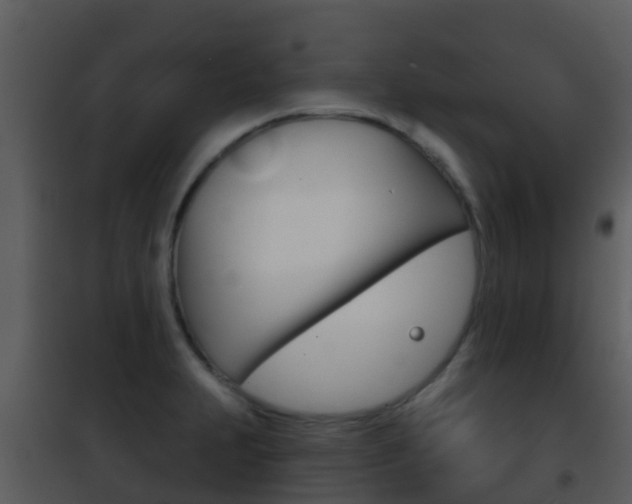 X0000101971231200807180718