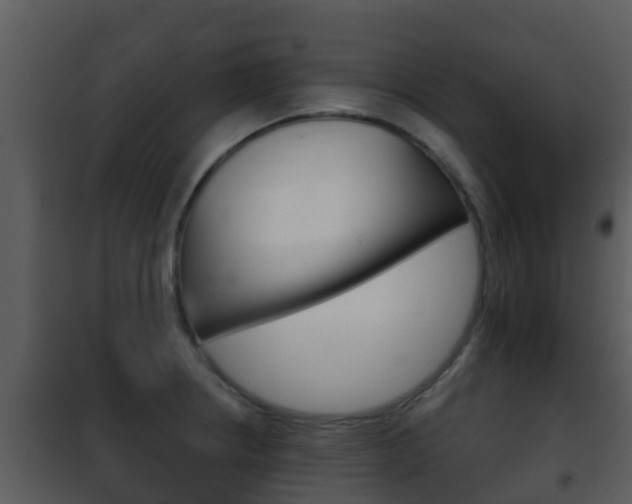 X0000101971234200807180719