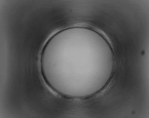 X0000101971235200807180719