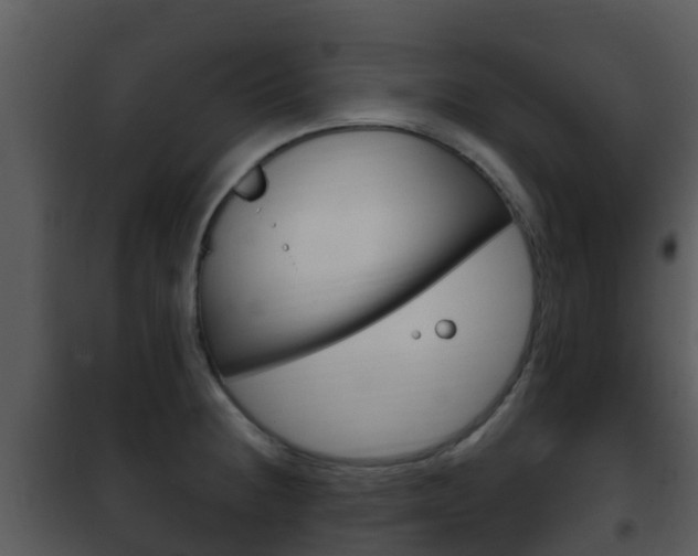 X0000101971236200807180719