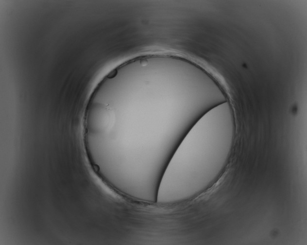 X0000101971239200807180719