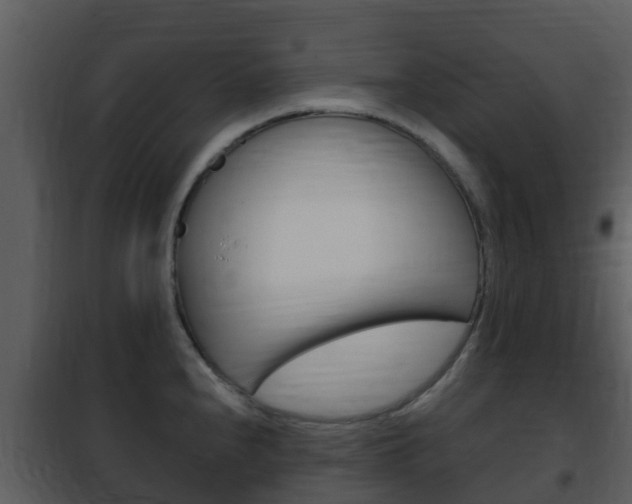 X0000101971240200807180719
