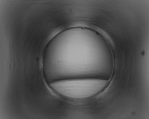 X0000101971241200807180719