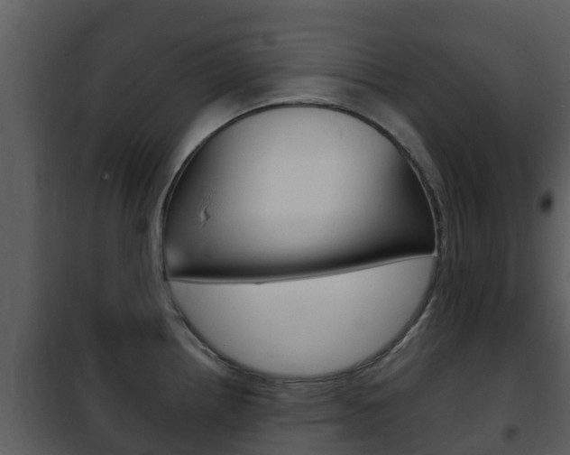 X0000101971242200807180719