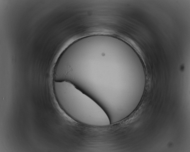 X0000101971243200807180719