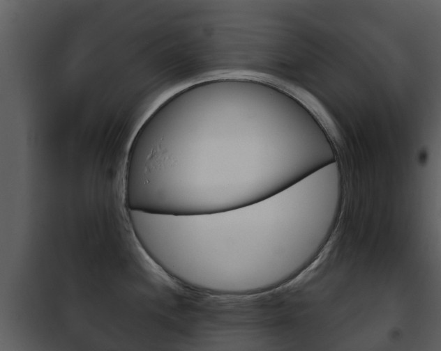 X0000101971244200807180719