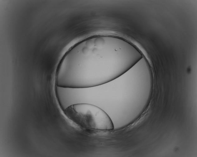 X0000101971245200807180719