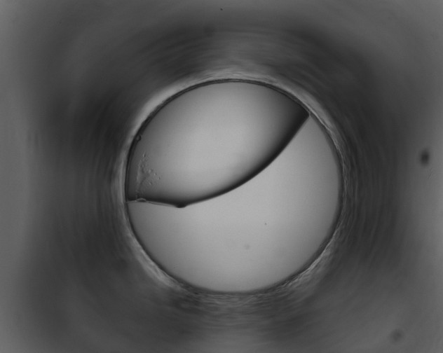 X0000101971246200807180719