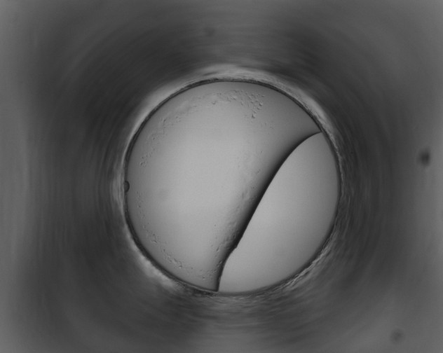 X0000101971247200807180719